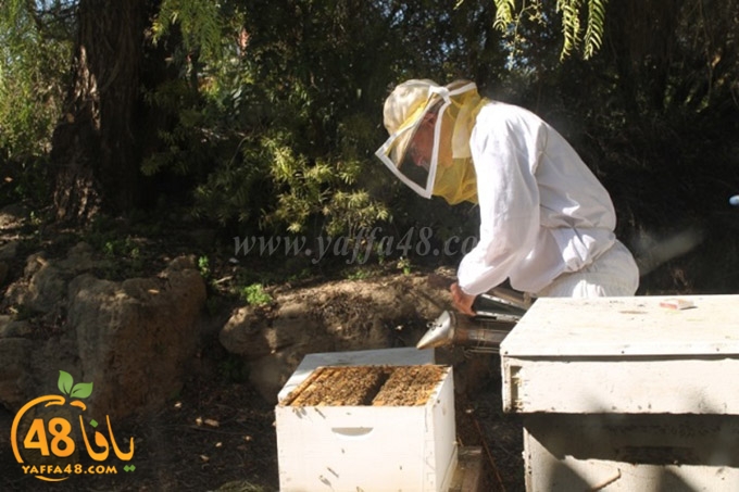 re7la janob (28).JPG